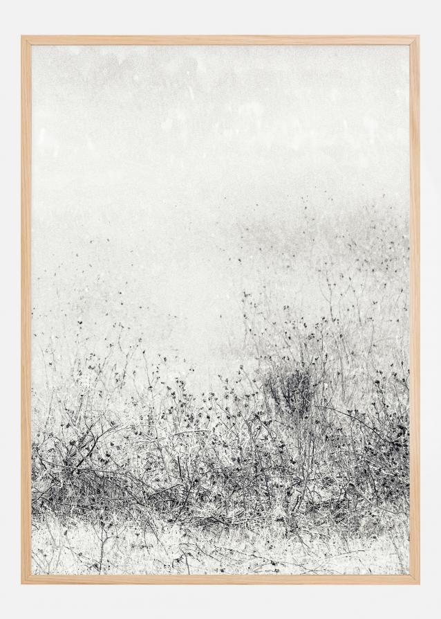 The endless grassfields Poster