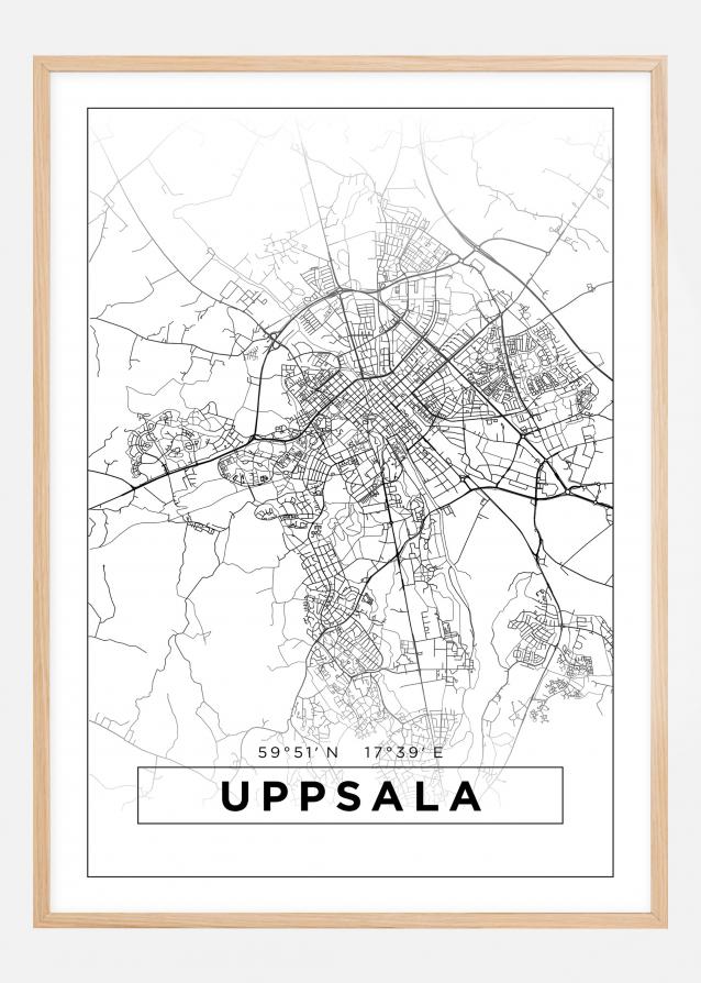 Karta - Uppsala - Vit Poster