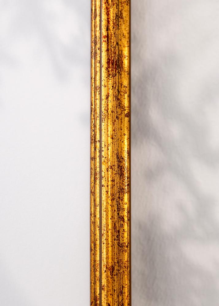 Ram Claudia Akrylglas Guld 59,4x84,1 cm (A1)