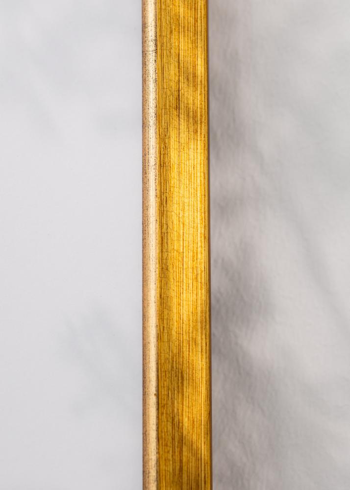 Ram Marisa Akrylglas Guld 59,4x84,1 cm (A1)