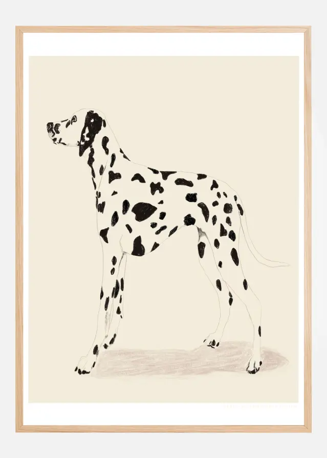 Pandc Dalmation Poster