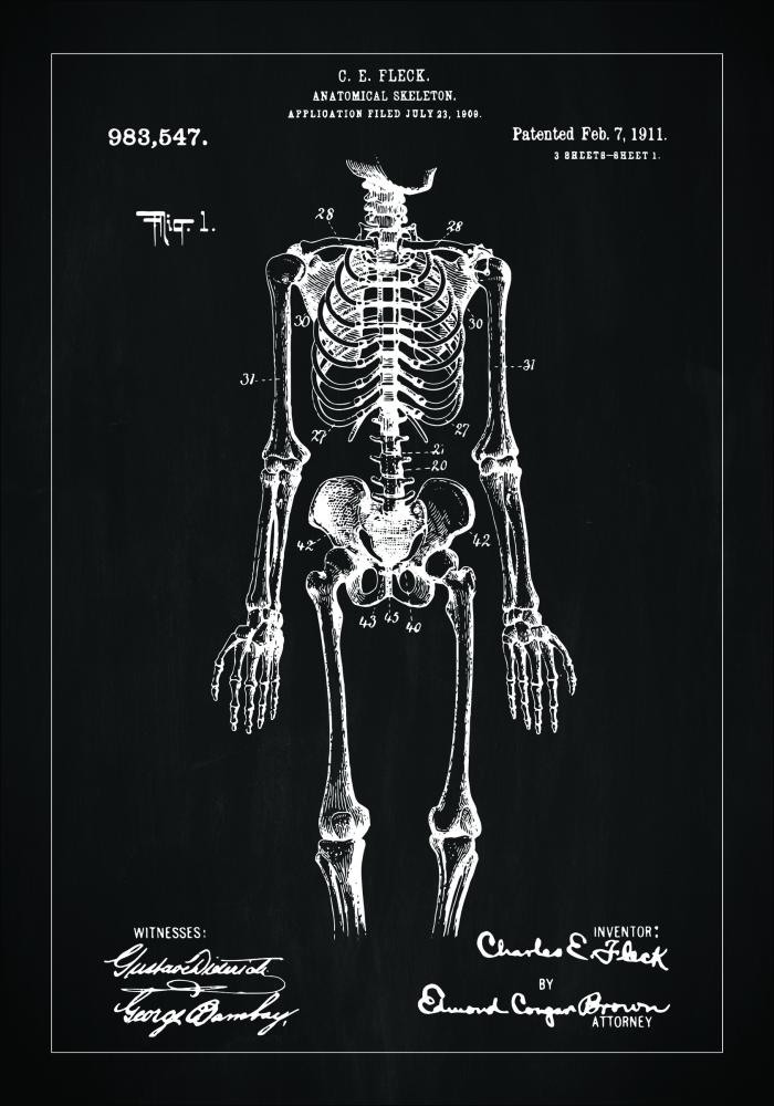 Patentritning - Anatomiskt skelett I - Svart Poster