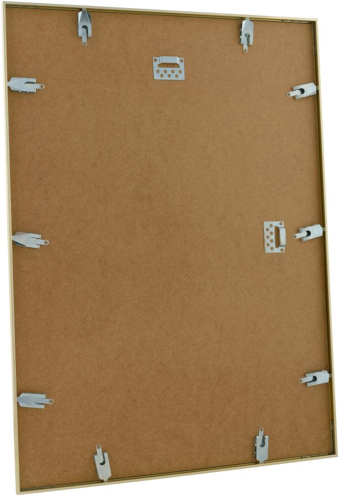 Ram Nielsen Premium Classic Guld 70x90 cm