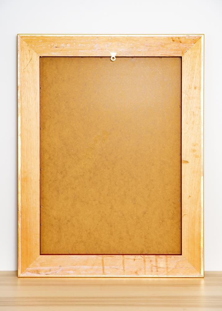 Spegel Baroque Guld 67x87 cm