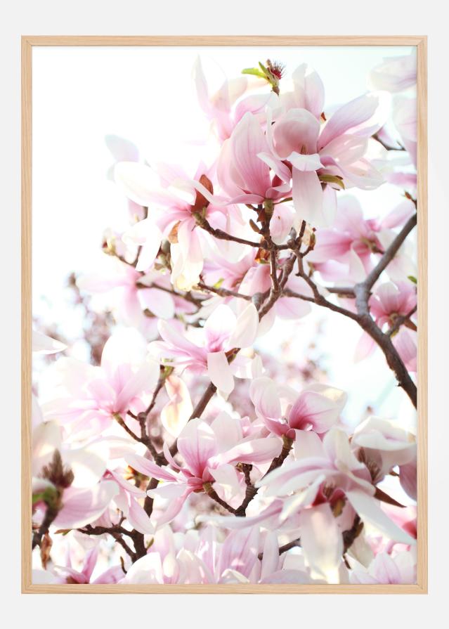 Cherry Trees Poster