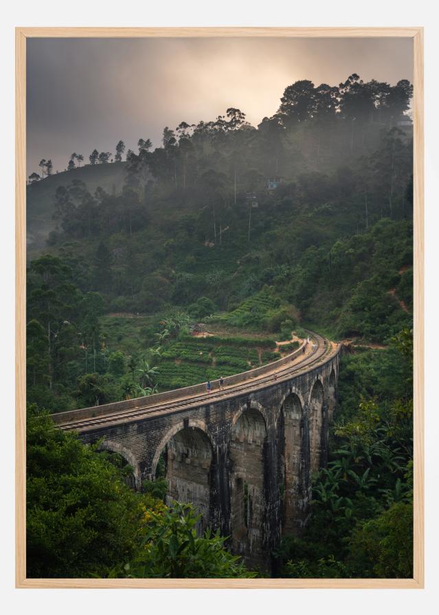 Jungle train rails Poster