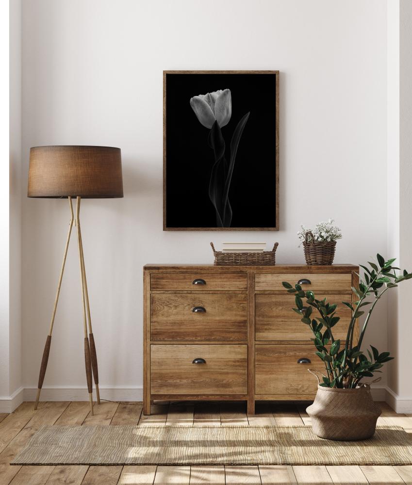 Tulip Poster