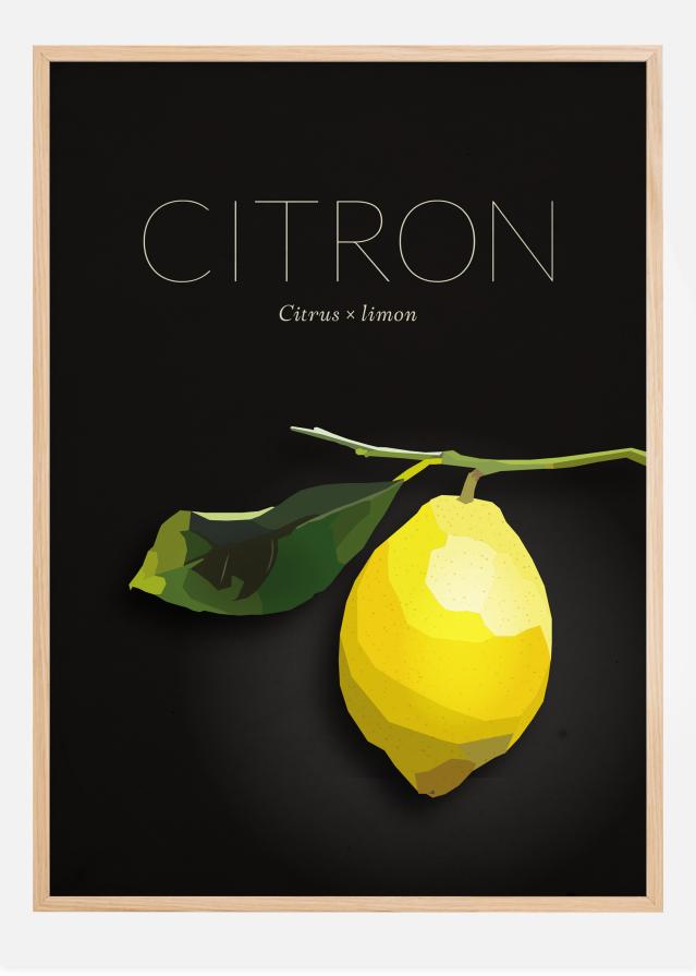 Citron Poster