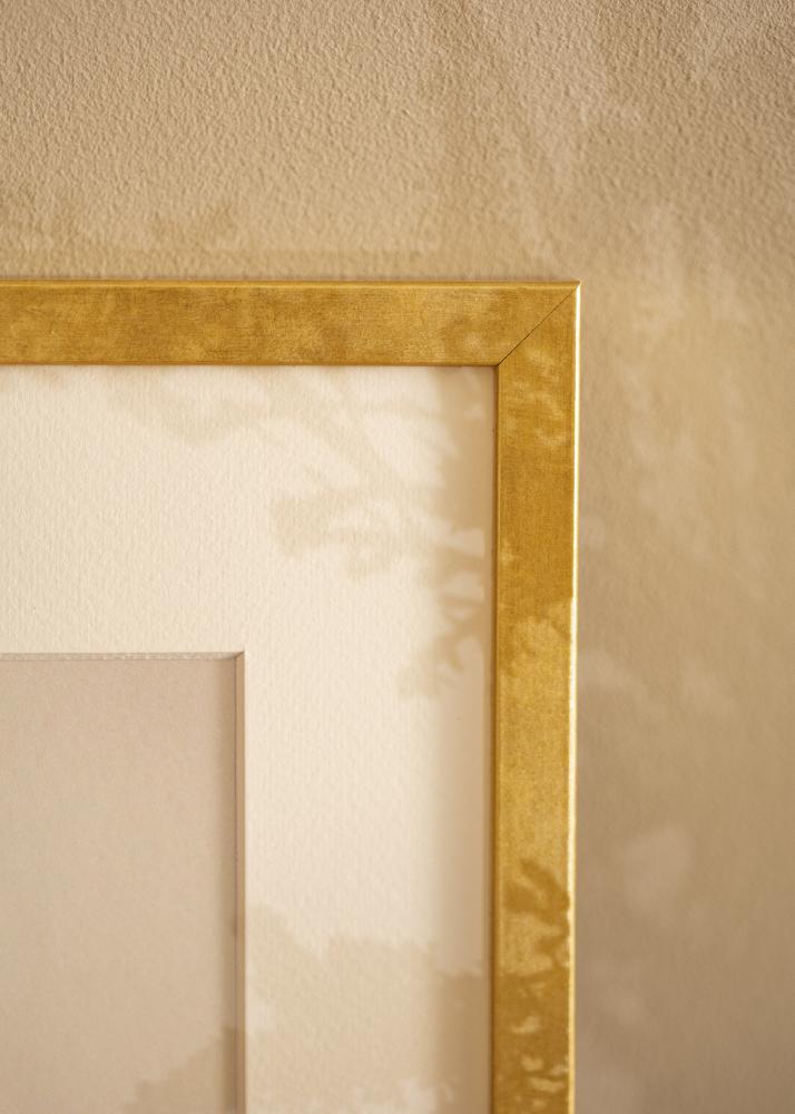 Ram Ares Akrylglas Guld 50x65 cm