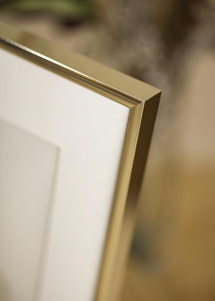 Ram Aluminium Blank Guld 40x50 cm - Passepartout Vit 30x40 cm