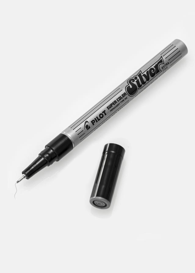 Pilot Dekorpenna Silver