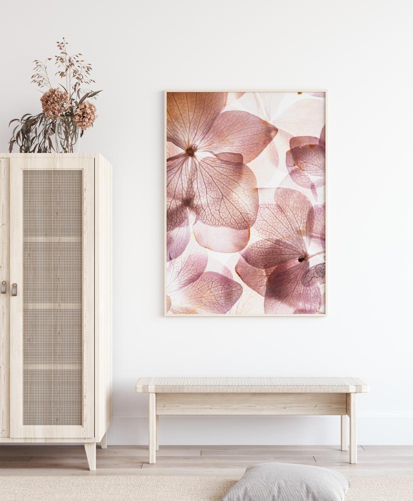 Orchid Poster