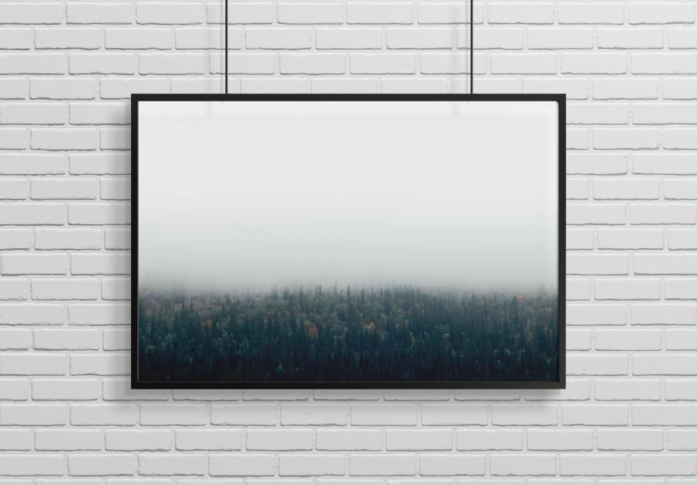 Forests in fog Poster