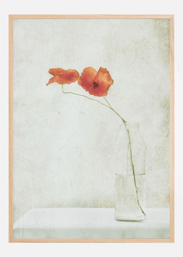 Two Poppies In A Bottle Poster