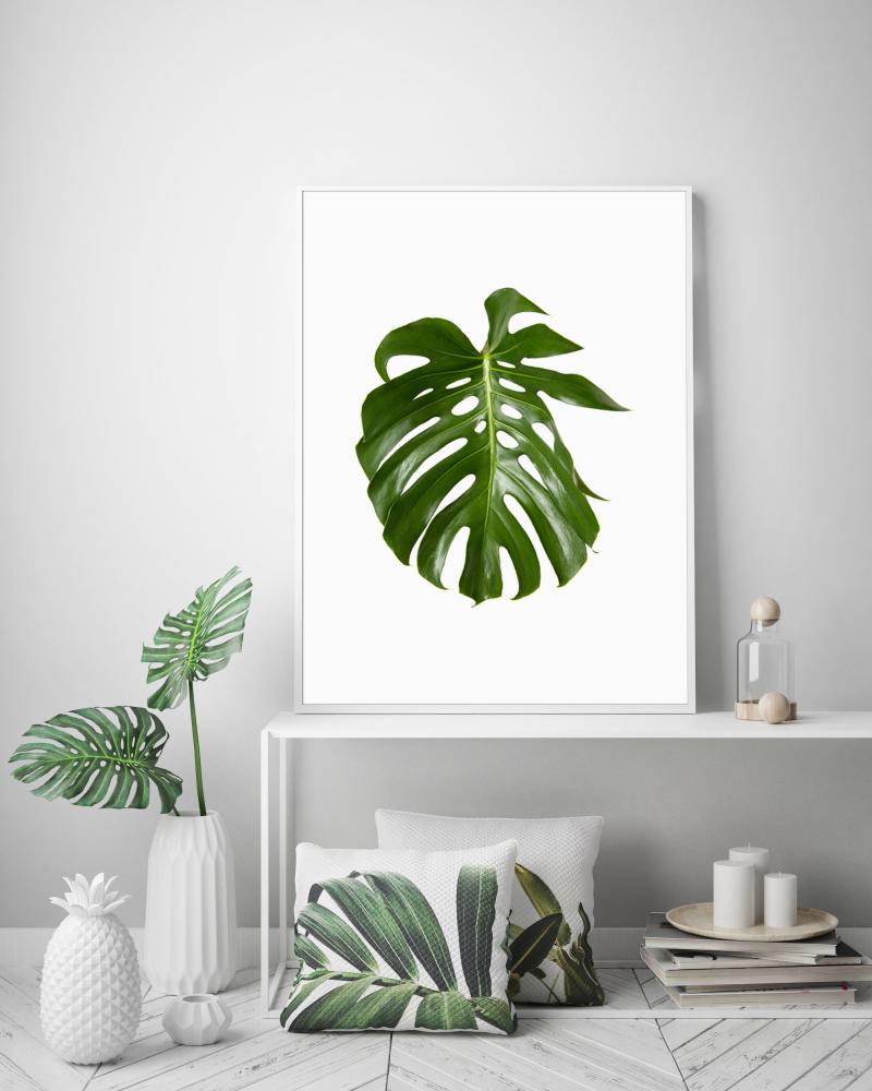 Monstera Poster