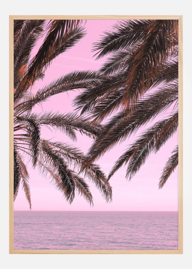 Palm Beach II Poster