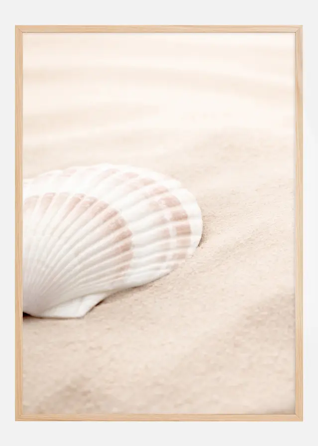 Shell Poster