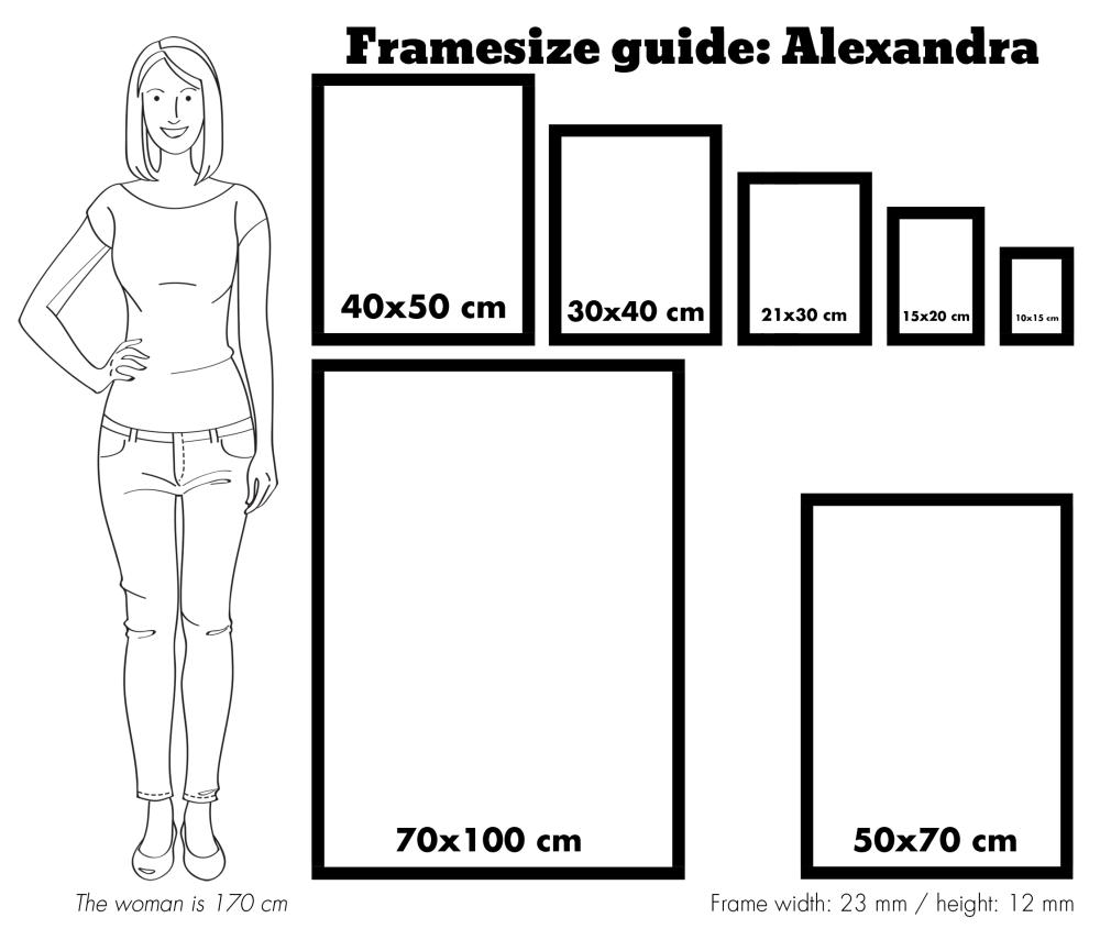 Ram Alexandra Akrylglas Svart 61x91,5 cm