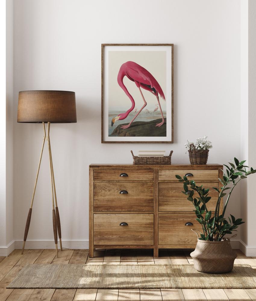 American Flamingo Poster