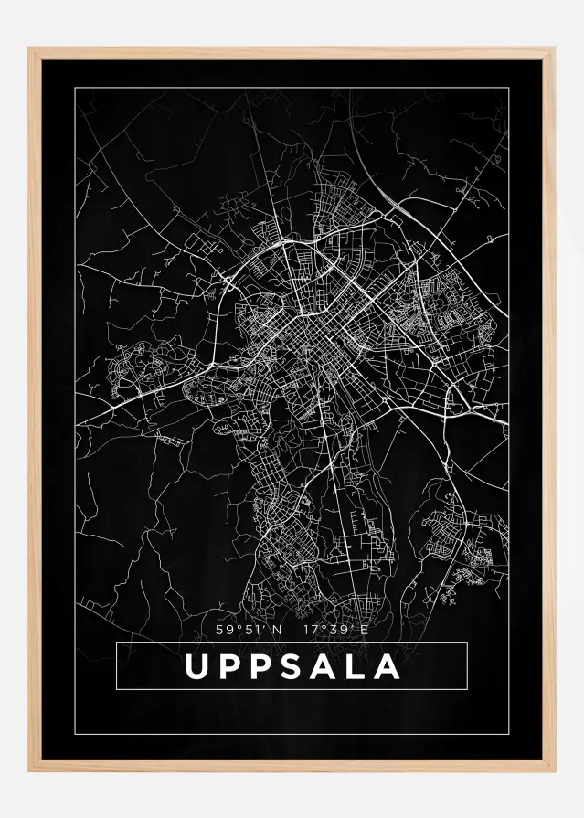 Karta - Uppsala - Svart Poster