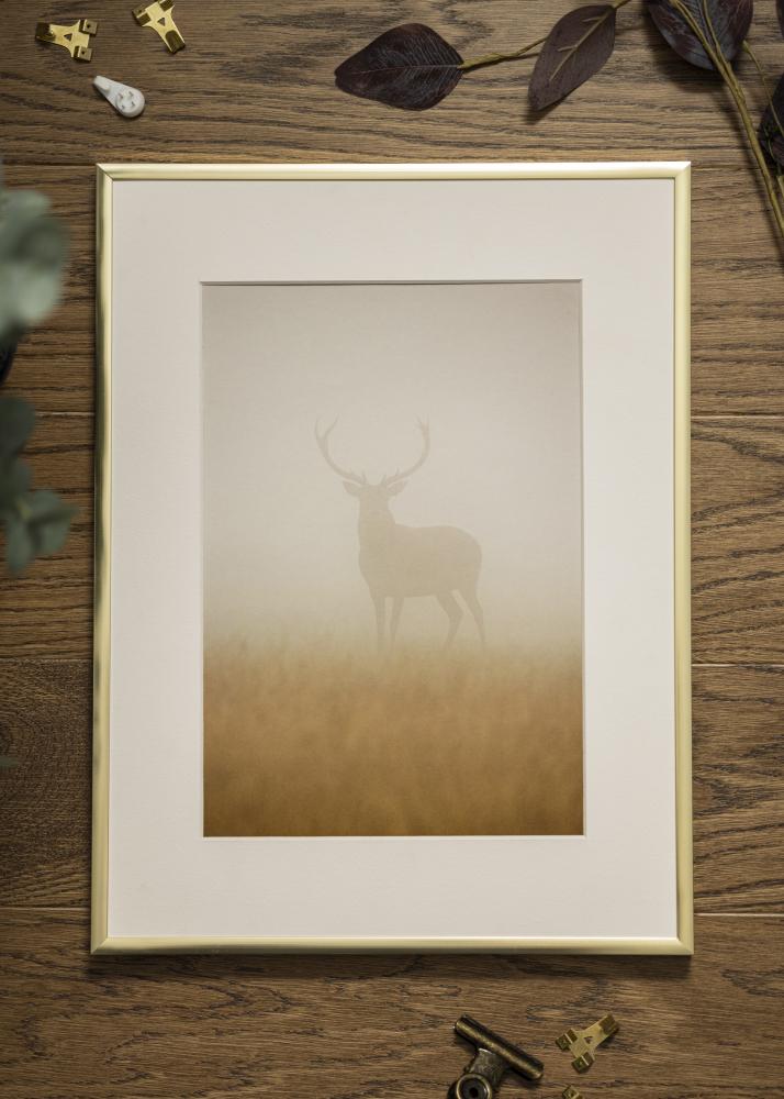 Ram Poster Frame Aluminum Akrylglas Gold 61x91,5 cm