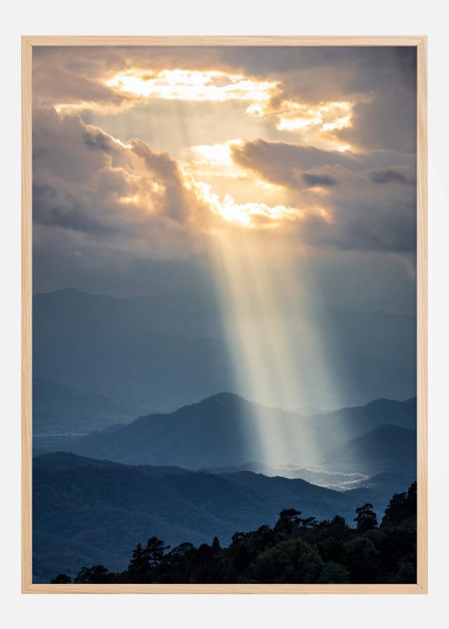 Beautiful sunlight Poster