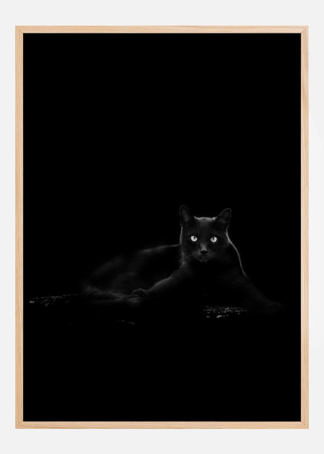 Cat Poster (30x40 cm)