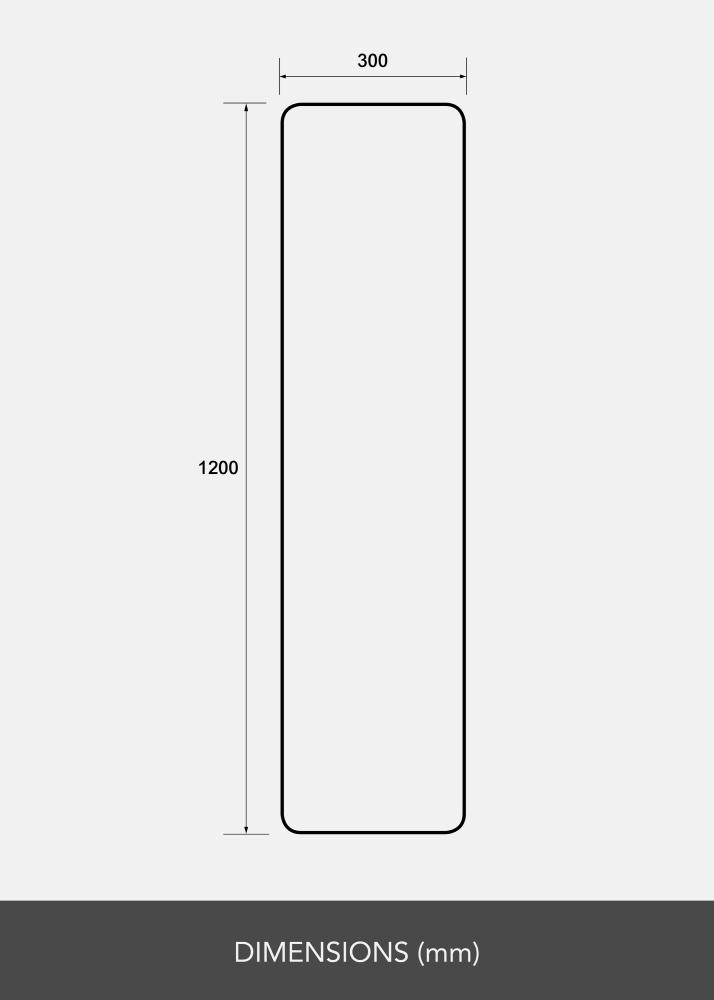 Spegel Rectangle L 30x120 cm