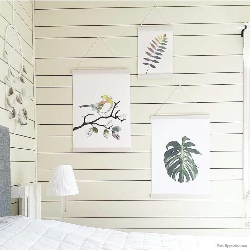 Monstera Poster