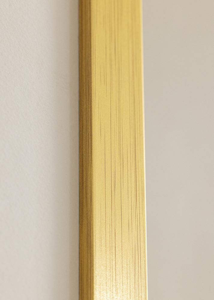 Ram Gold Wood Akrylglas 24x36 inches (60,94x91,44 cm)