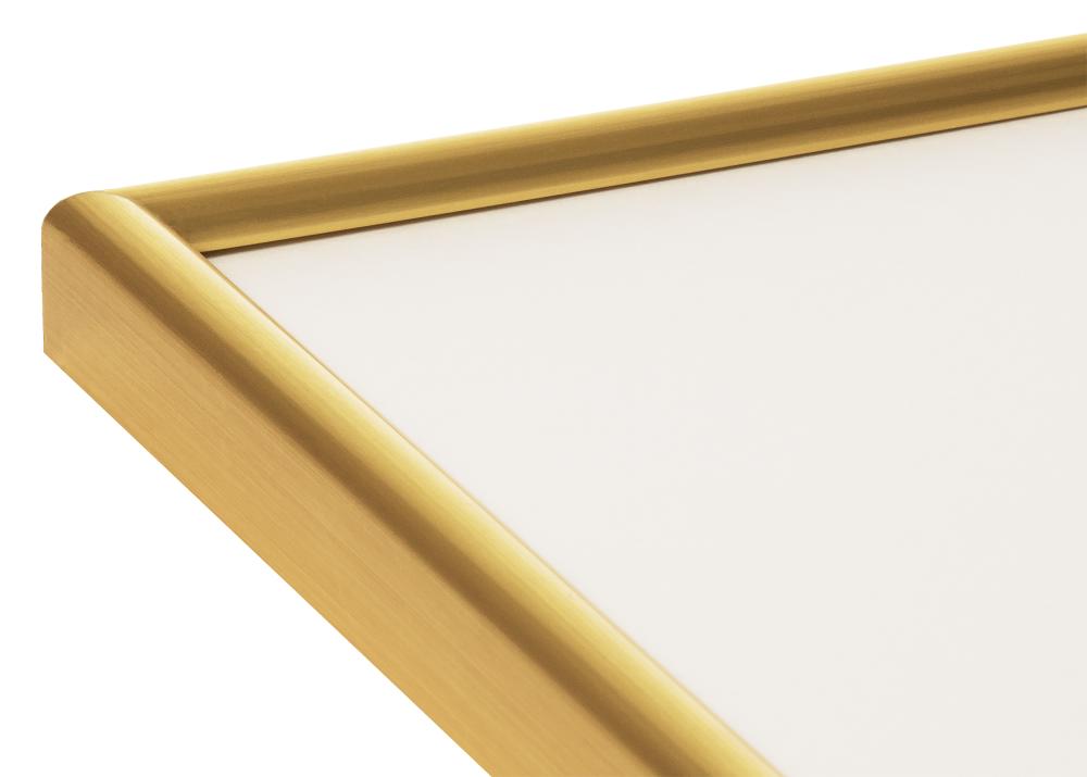 Ram Decoline Akrylglas Guld 70x100 cm