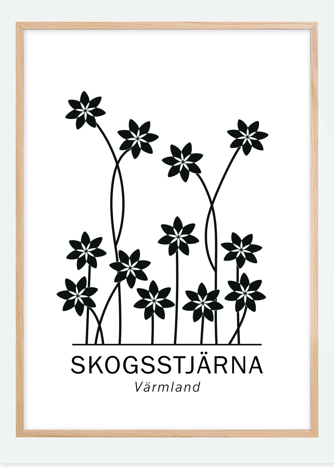 Skogsstjärna - Värmland Poster (70x100 cm)