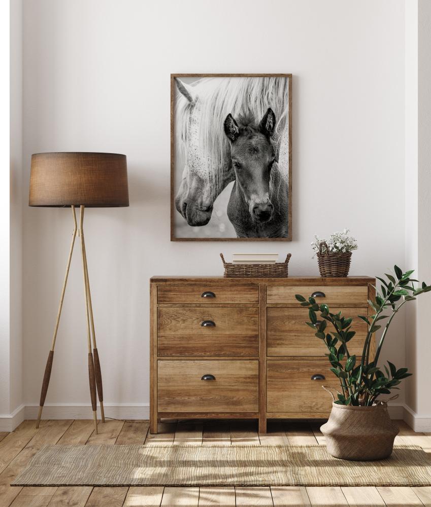 The Foal Poster