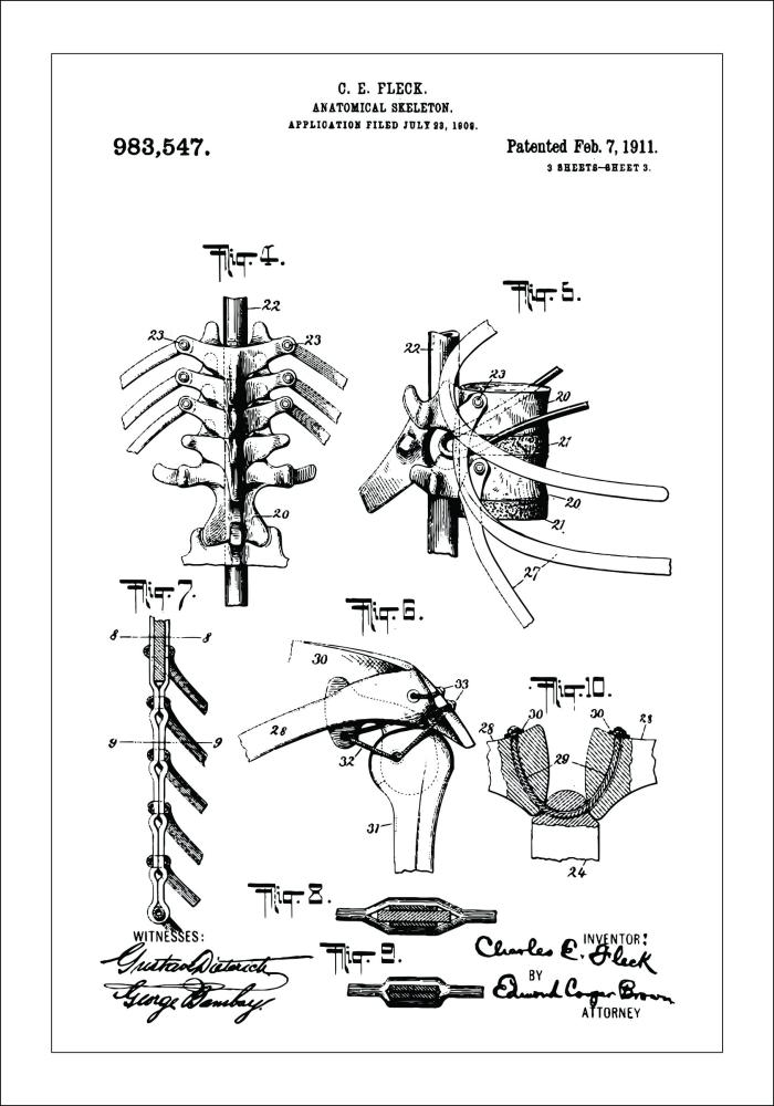 Patentritning - Anatomiskt Skelett III Poster